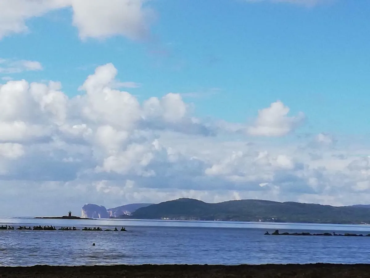 Alghero, Gabbianella Appartamento